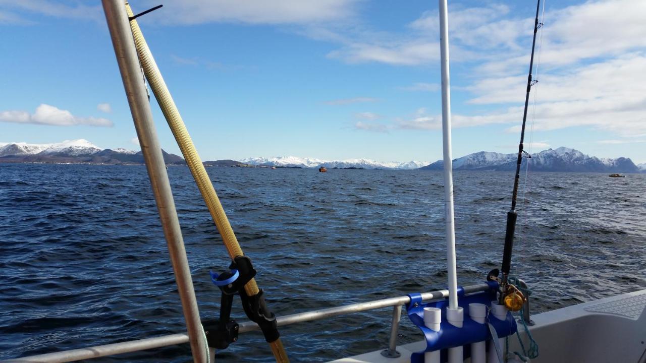 Koselig Hus Til Leie Pa Stokmarknes I Vesteralenアパートメント エクステリア 写真