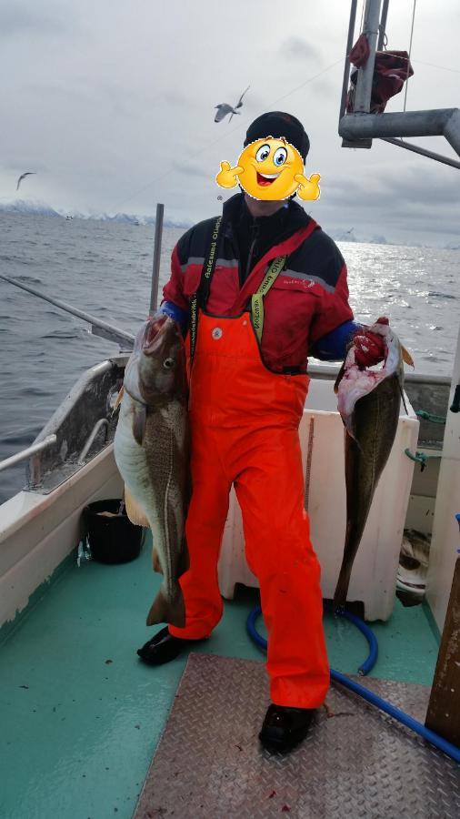 Koselig Hus Til Leie Pa Stokmarknes I Vesteralenアパートメント エクステリア 写真